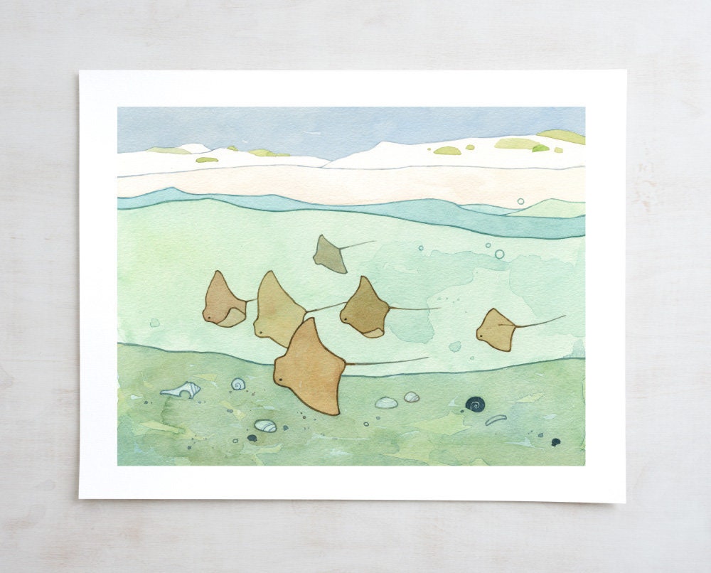 Cownose Stingray Print