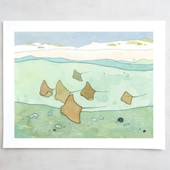 Cownose Stingray Print