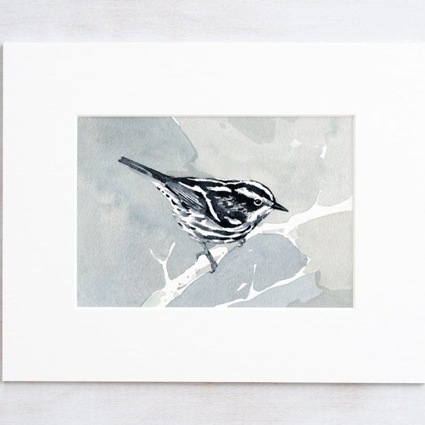 Black and White Warbler Print