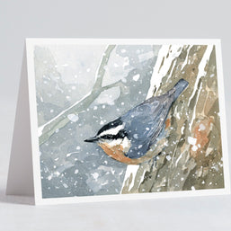 Nuthatch in Snow Print
