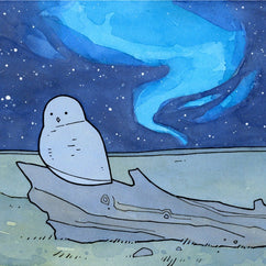 Snowy Owl and Northern Lights Print