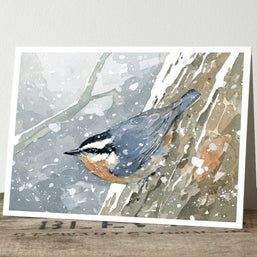 Nuthatch Bird in Snow Card