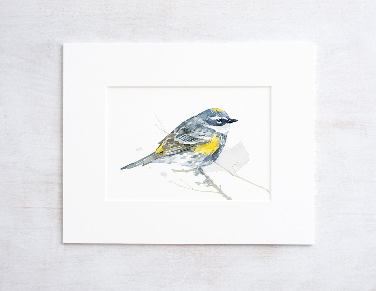 Yellow-Rumped Warbler Bird Print