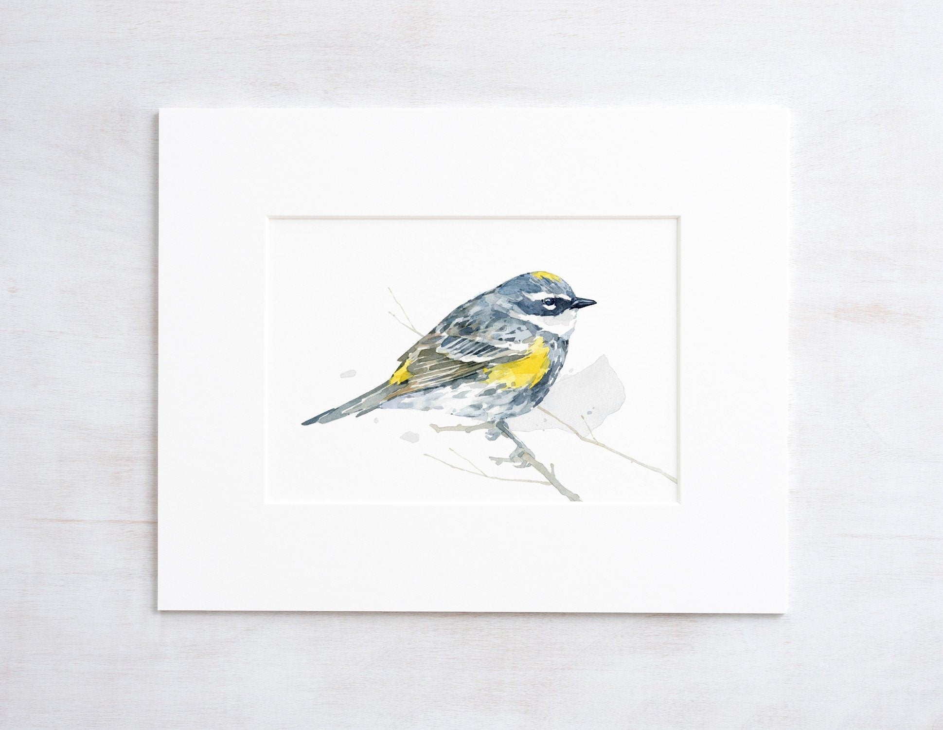 Yellow-Rumped Warbler Bird Print