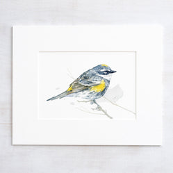 Yellow-Rumped Warbler Bird Print