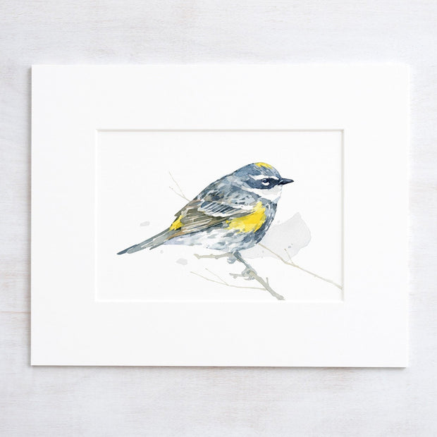 Yellow-Rumped Warbler Bird Print