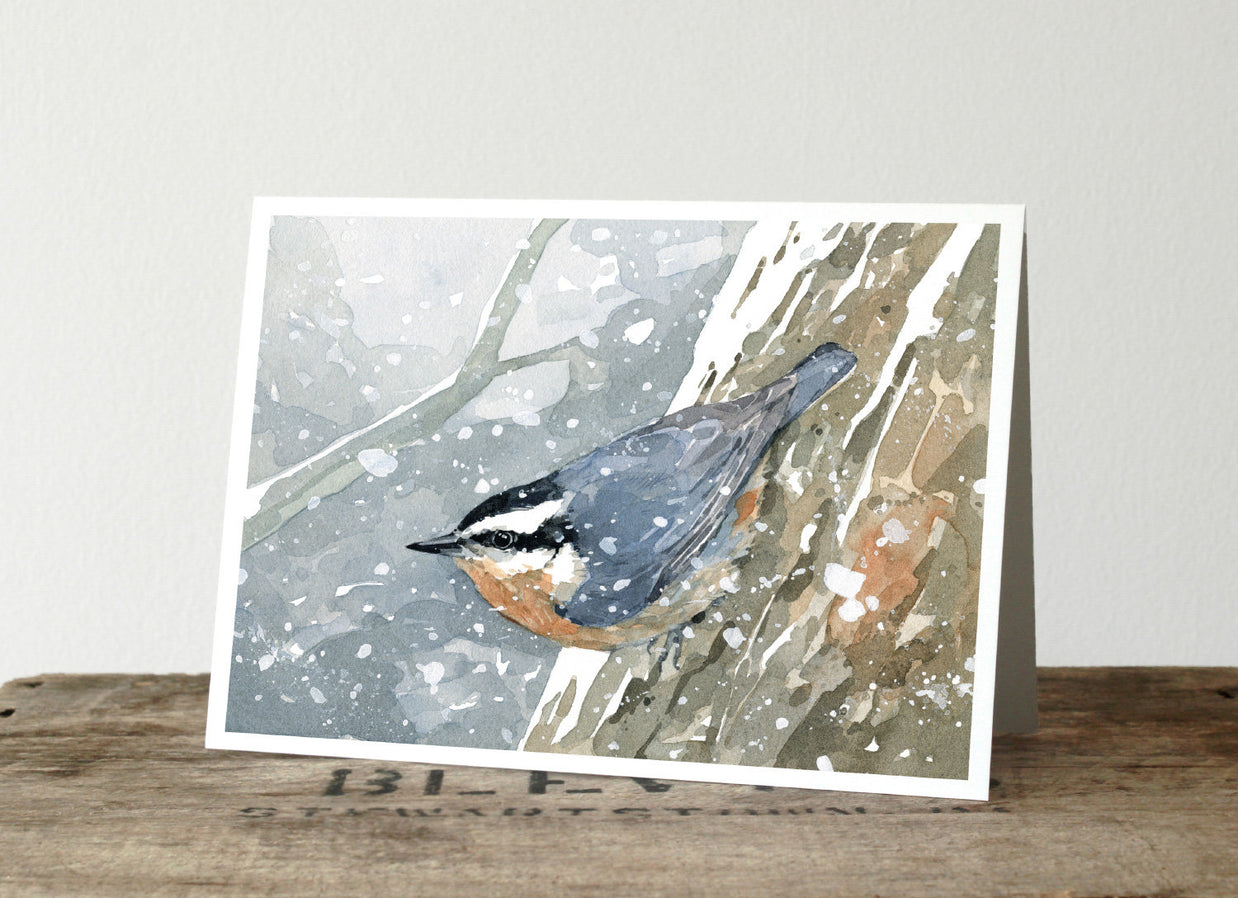 Nuthatch in Snow Print