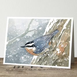 Nuthatch in Snow Print