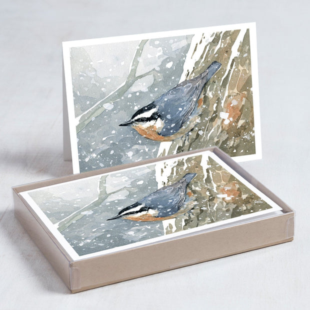 Nuthatch in Snow Print