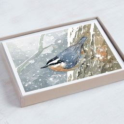 Nuthatch in Snow Print