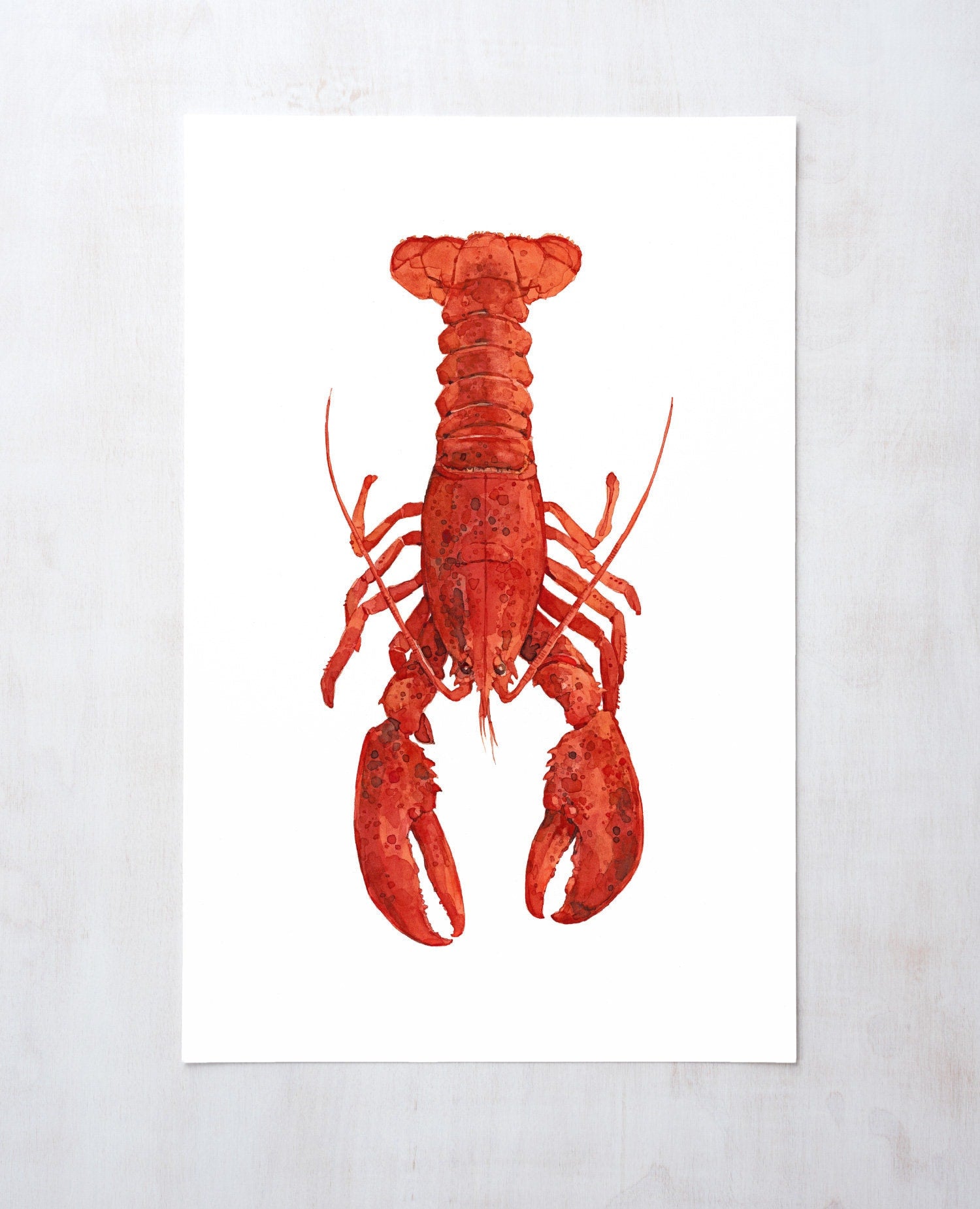 Red Lobster Print