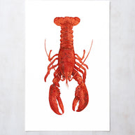 Red Lobster Print