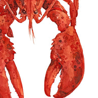 Red Lobster Print