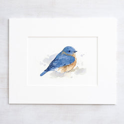Bluebird Watercolor Print