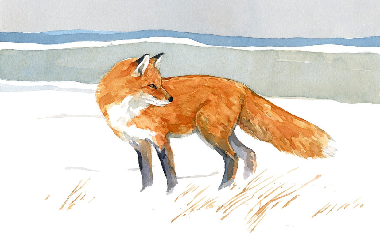 Red Fox Watercolor Print