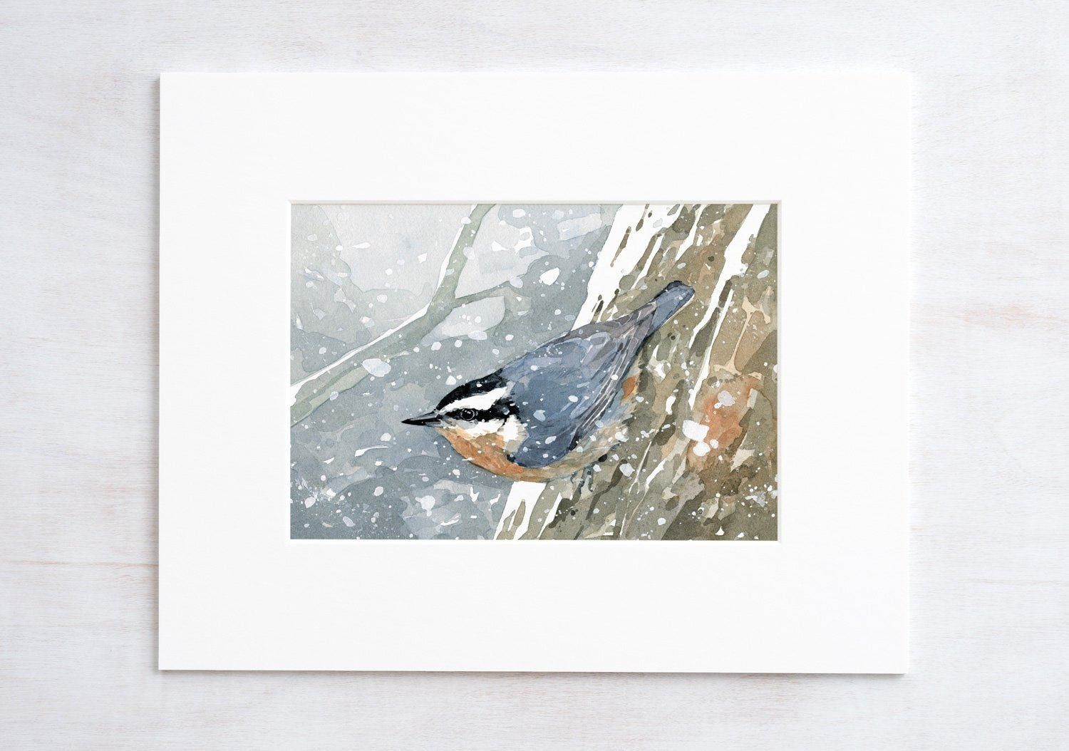 Nuthatch in Snow Watercolor Print