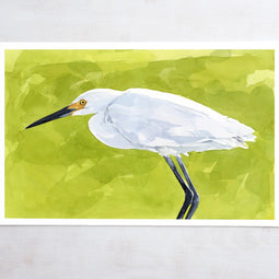 Snowy Egret Print