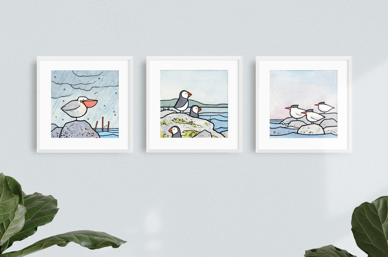 Coast Birds Set of Three 5x5 Prints