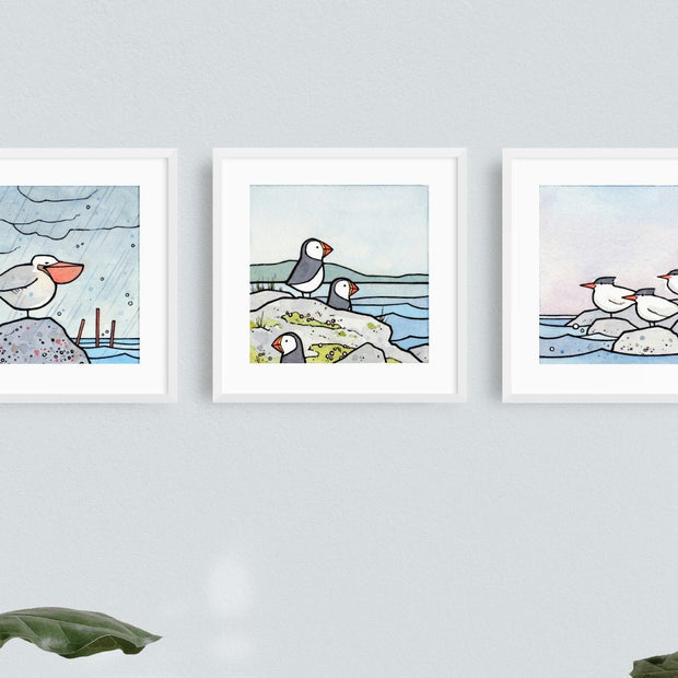 Coast Birds Set of Three 5x5 Prints