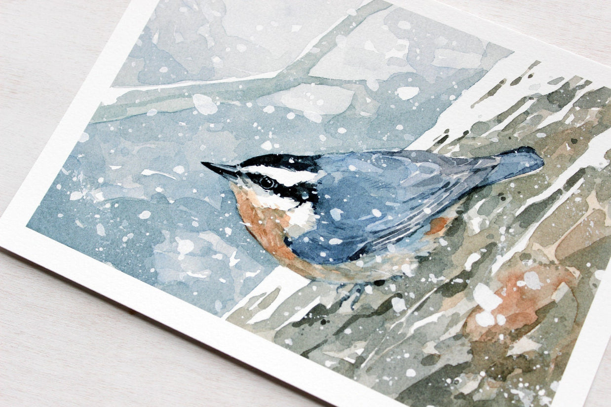Nuthatch in Snow Watercolor Print