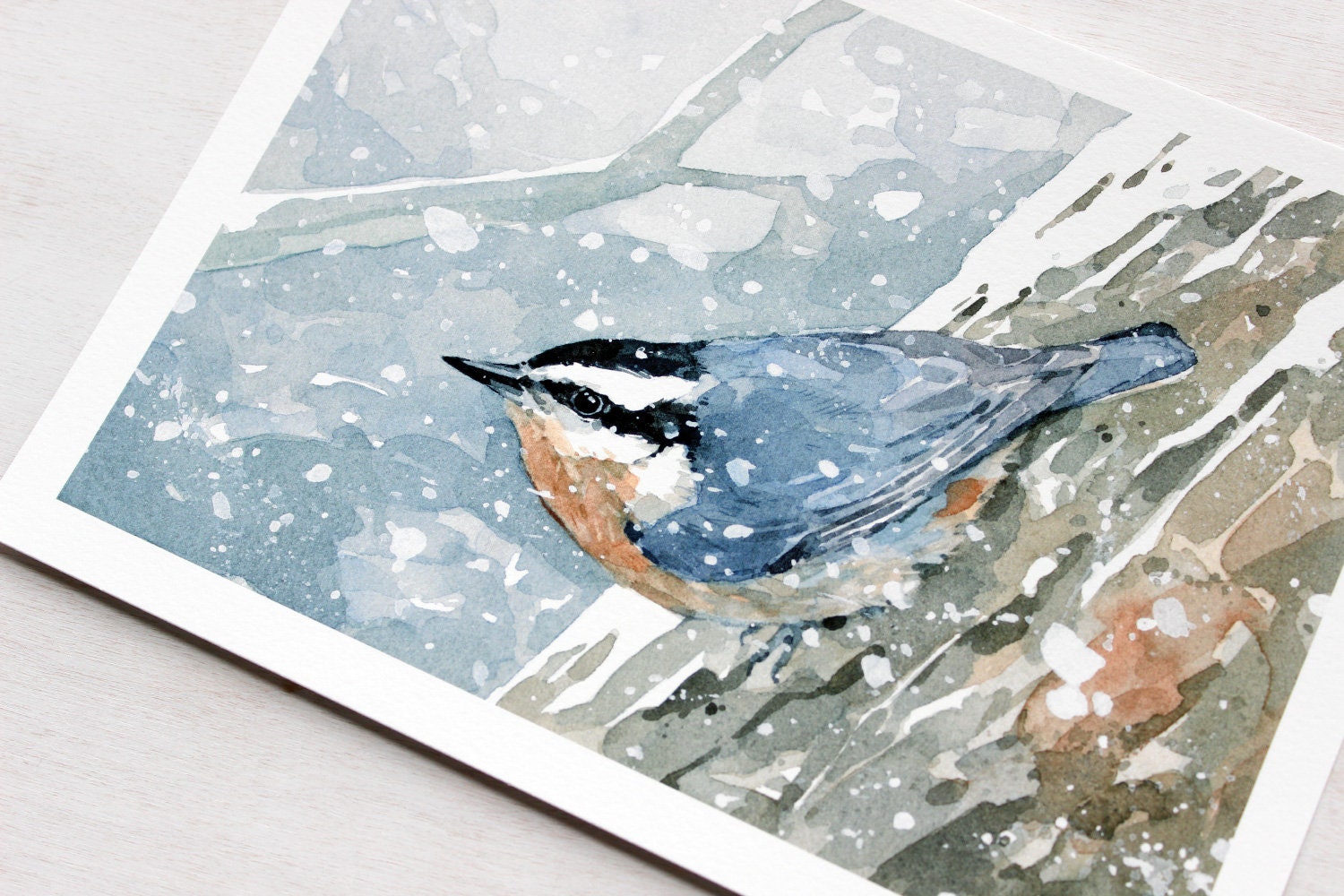 Nuthatch in Snow Watercolor Print
