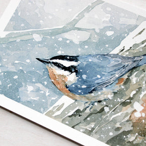Nuthatch in Snow Watercolor Print