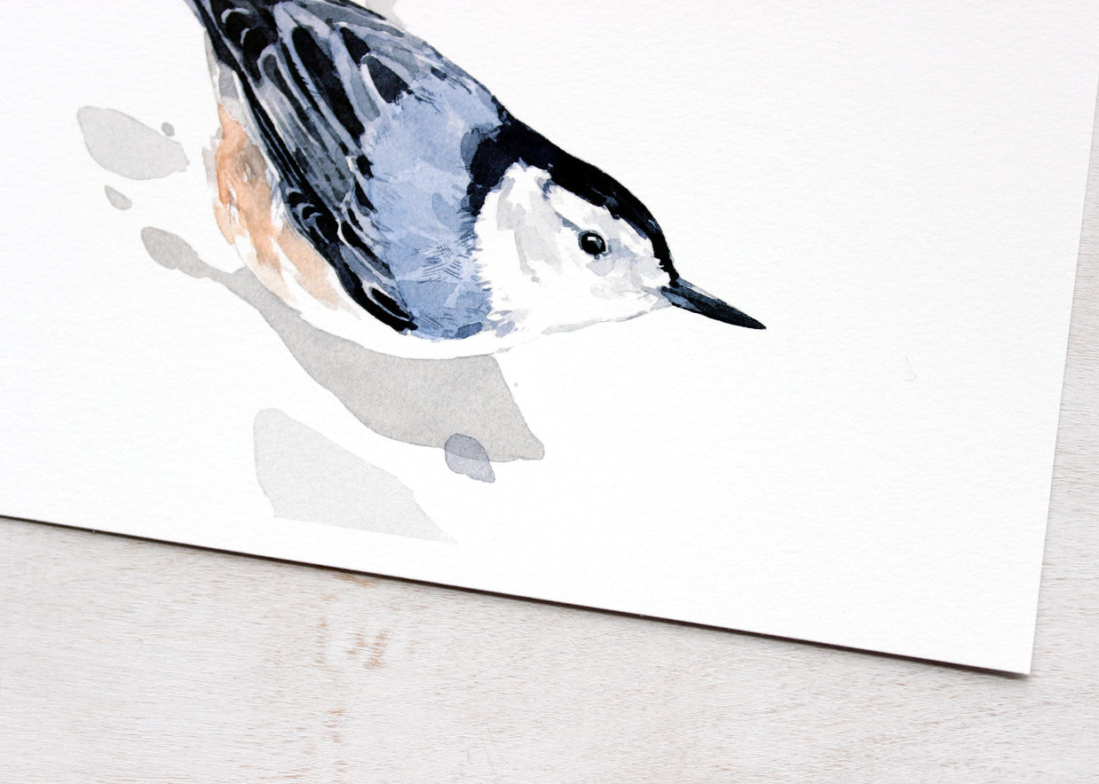 Nuthatch Print