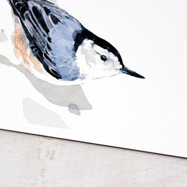 Nuthatch Print