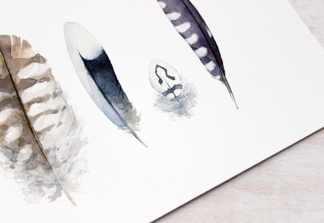 Striped Feathers Print