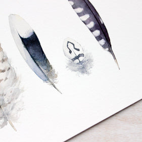 Striped Feathers Print