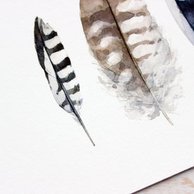 Striped Feathers Print