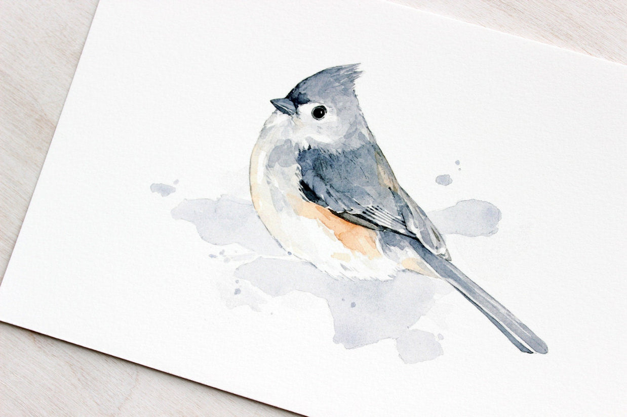 Tufted Titmouse Bird Print