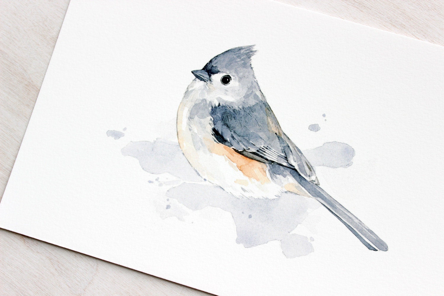 Tufted Titmouse Bird Print