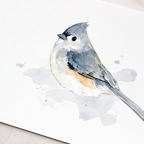 Tufted Titmouse Bird Print