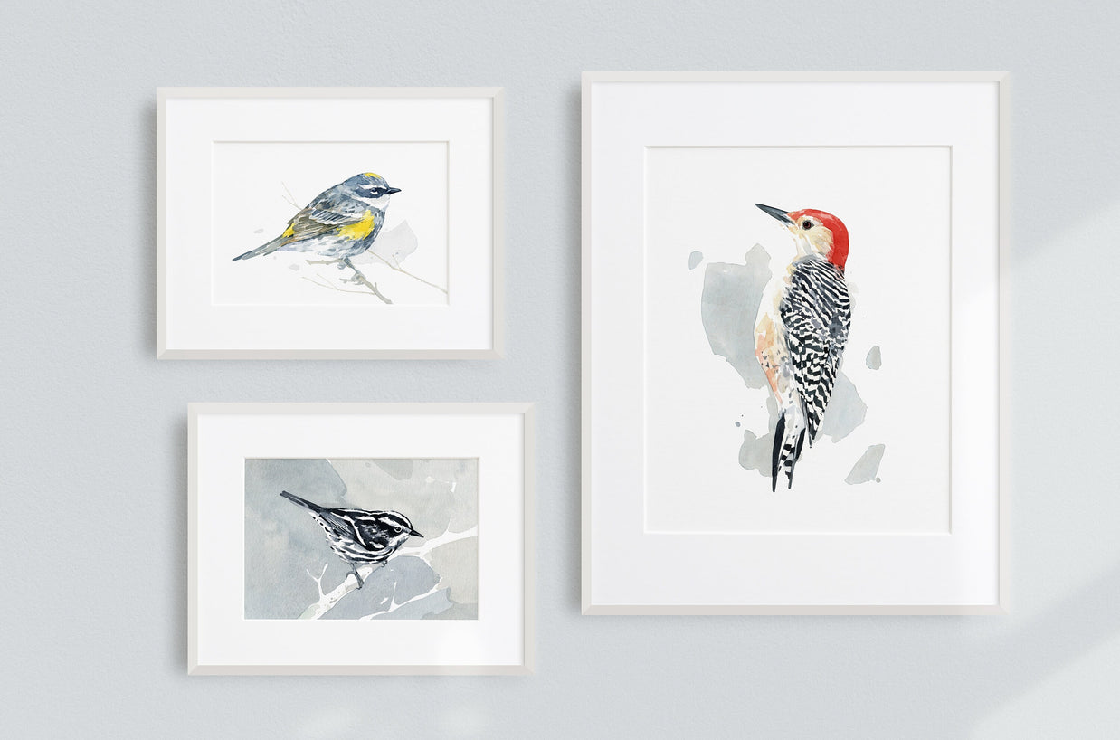 Yellow-Rumped Warbler Bird Print