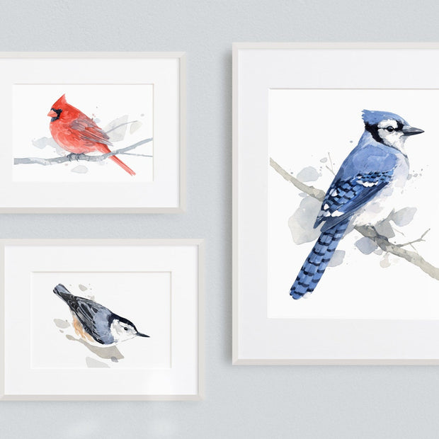 Red Cardinal Print