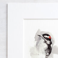 Downy Woodpecker Print