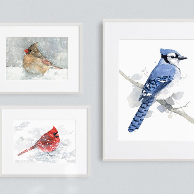 Red Cardinal in Snow Print
