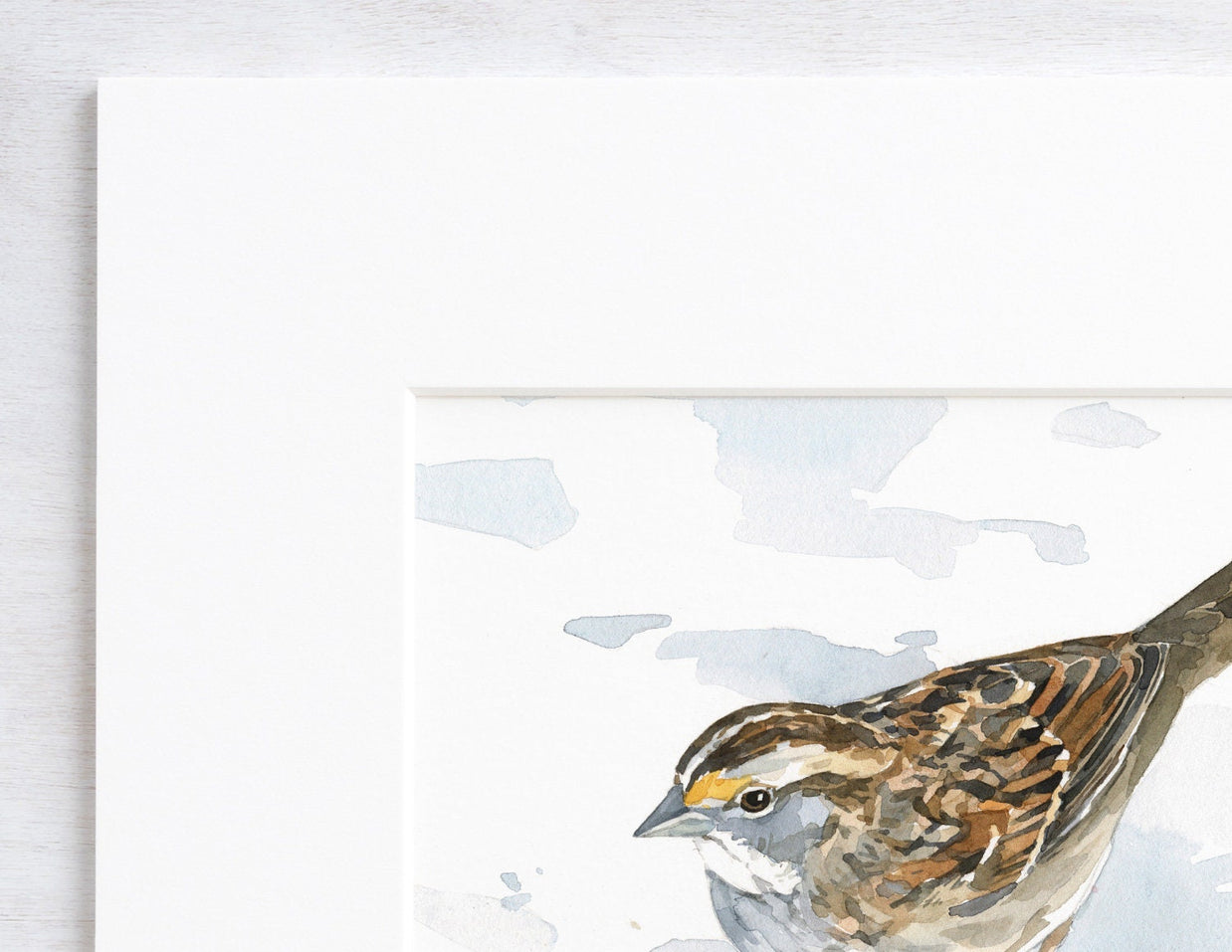 White-Throated Sparrow Print