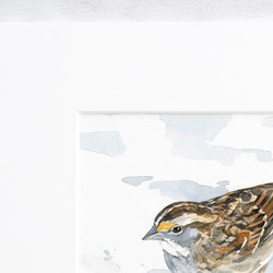 White-Throated Sparrow Print