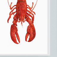 Red Lobster Print