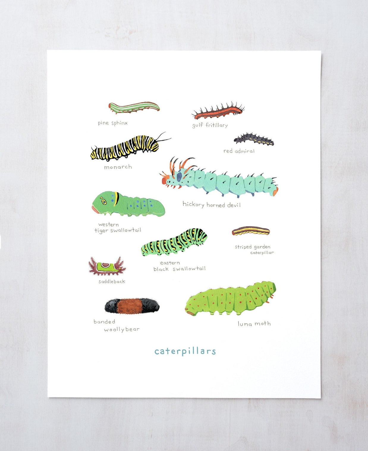 Caterpillars Art Print: Watercolor Nature Painting