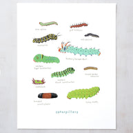 Caterpillars Art Print: Watercolor Nature Painting