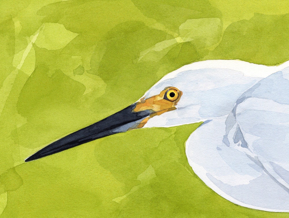 Snowy Egret Print