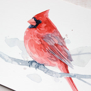 Red Cardinal Print