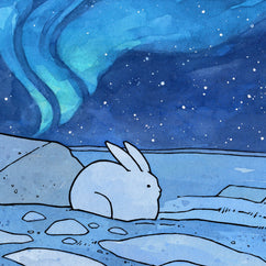 Arctic Northern Lights Snowshoe Hare Print
