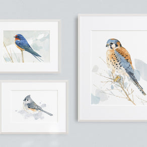 Barn Swallow Print Rustic Bird Art Watercolor Painting