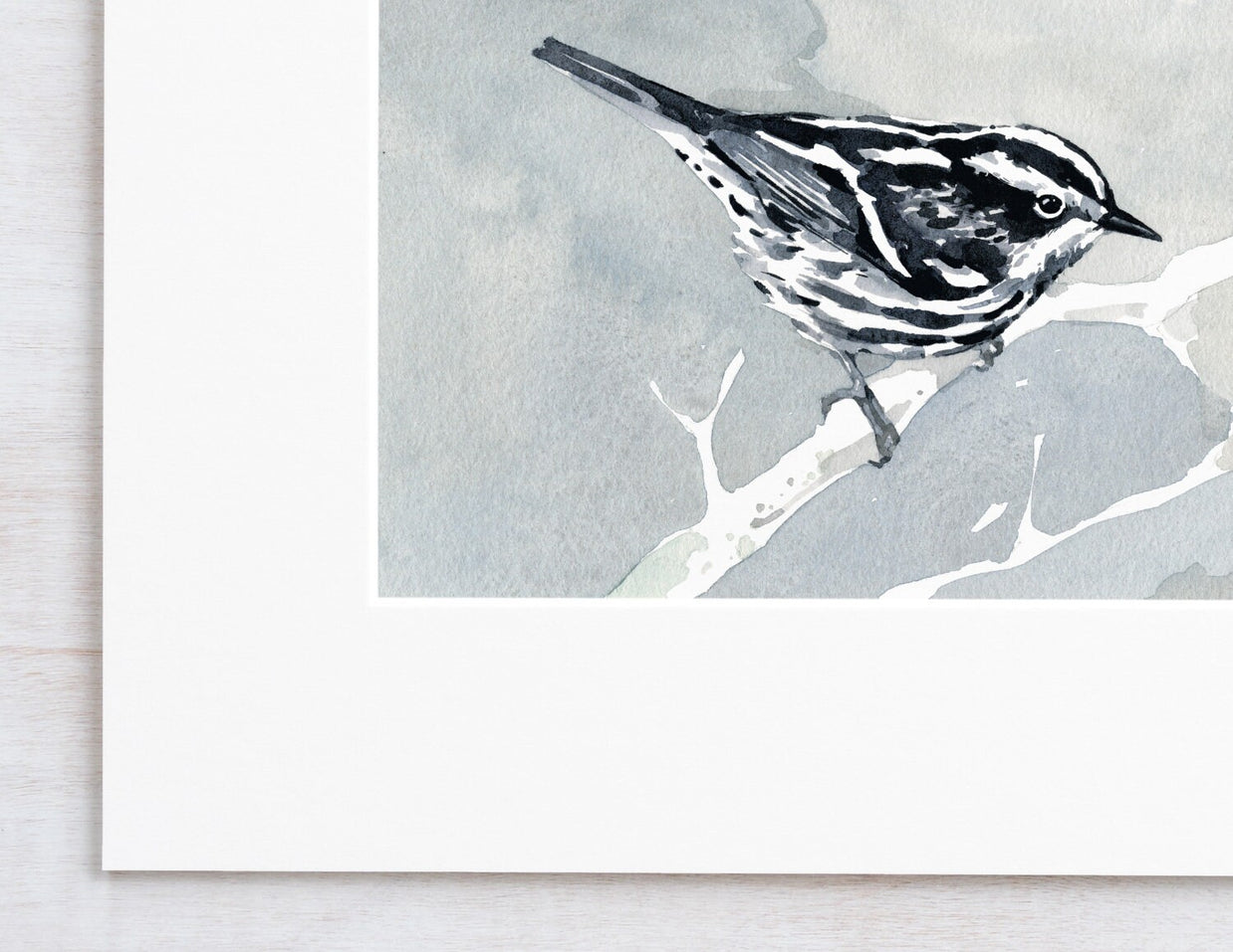 Black and White Warbler Print