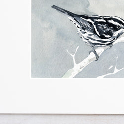 Black and White Warbler Print
