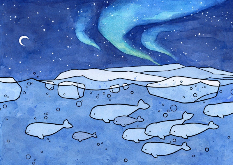 Belugas and Aurora Illustration Arctic Animal Print
